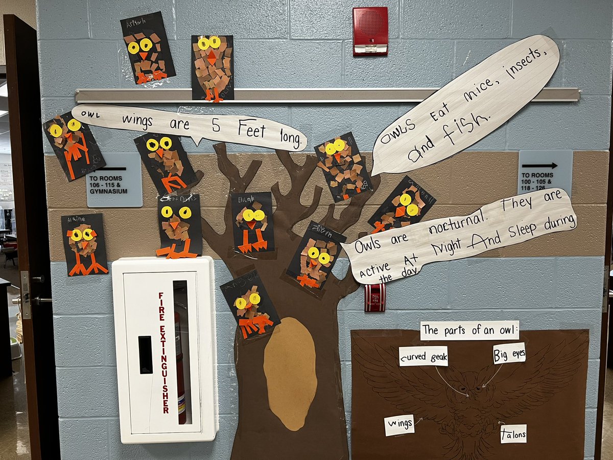 missprater_'s tweet photo. midweek catchup:
kindergarten has been learning facts about real live animals! each class learned about a different animal so that they could be able to share some knowledge! 🦇🦉🐻🕷 #kindergarten #theJWCS https://t.co/gIubzmuZXZ