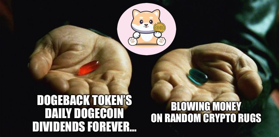 DogeBackToken's tweet image. #DOGEBACK is the best source of #DOGECOIN in the planet!