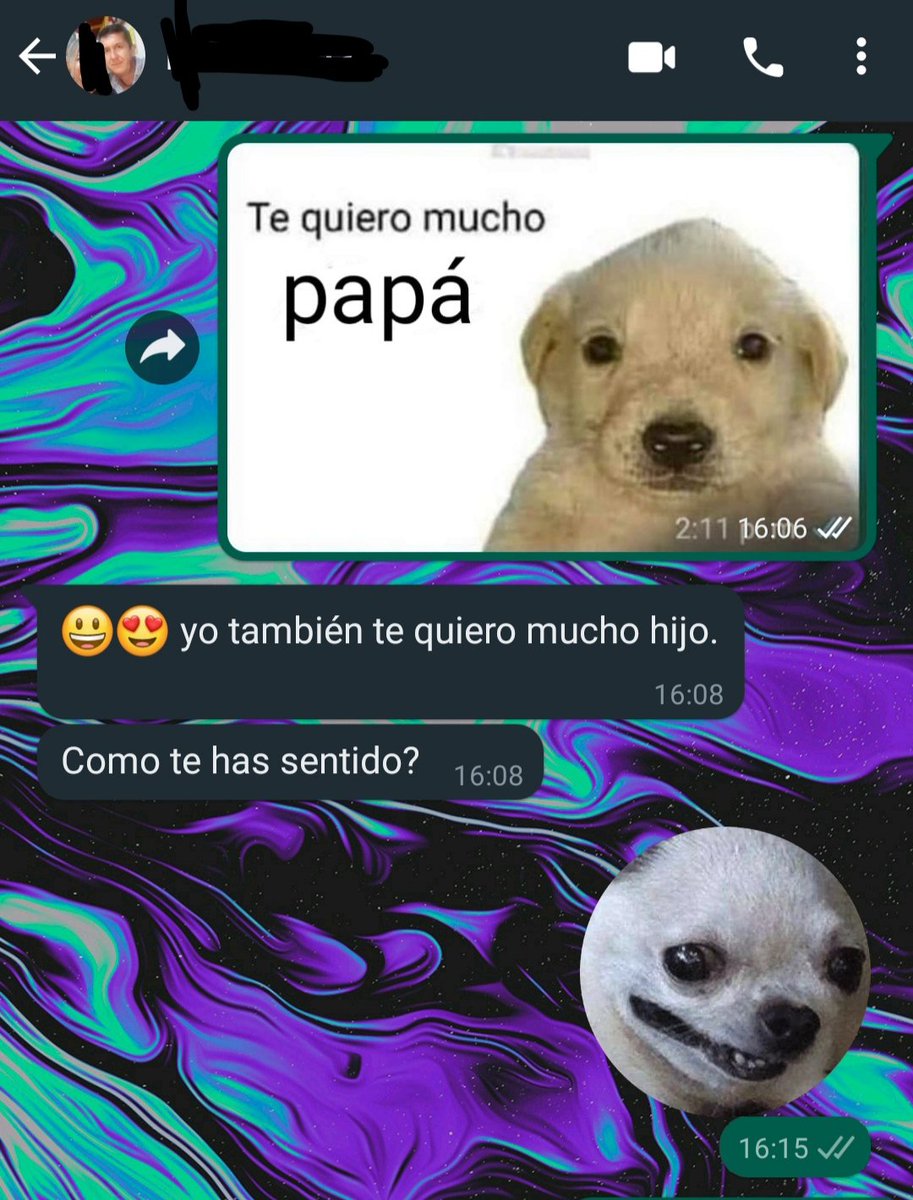 BeGoLeonard's tweet photo. No sé qué hice para merecer esto. 😻
No sé qué hicieron para merecerme. 😹 https://t.co/h9PIluusVZ