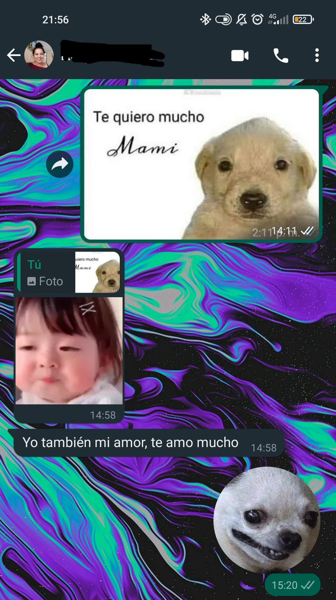BeGoLeonard's tweet photo. No sé qué hice para merecer esto. 😻
No sé qué hicieron para merecerme. 😹 https://t.co/h9PIluusVZ