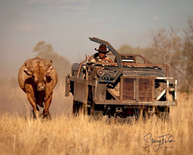 rftte's tweet photo. ASSISTANT MANAGER WANTED | Fossil Downs, Kimberley WA | Breeding and exporting operation running 20,000 head of Droughtmaster cattle over 1 million acres.
VIEW POSITION: https://t.co/jCOPl6bbjO
(Images Stacey Ford Photography via Instagram)
#jobs #rfttejobs #fossildowns https://t.co/ooTRDyi1Pd