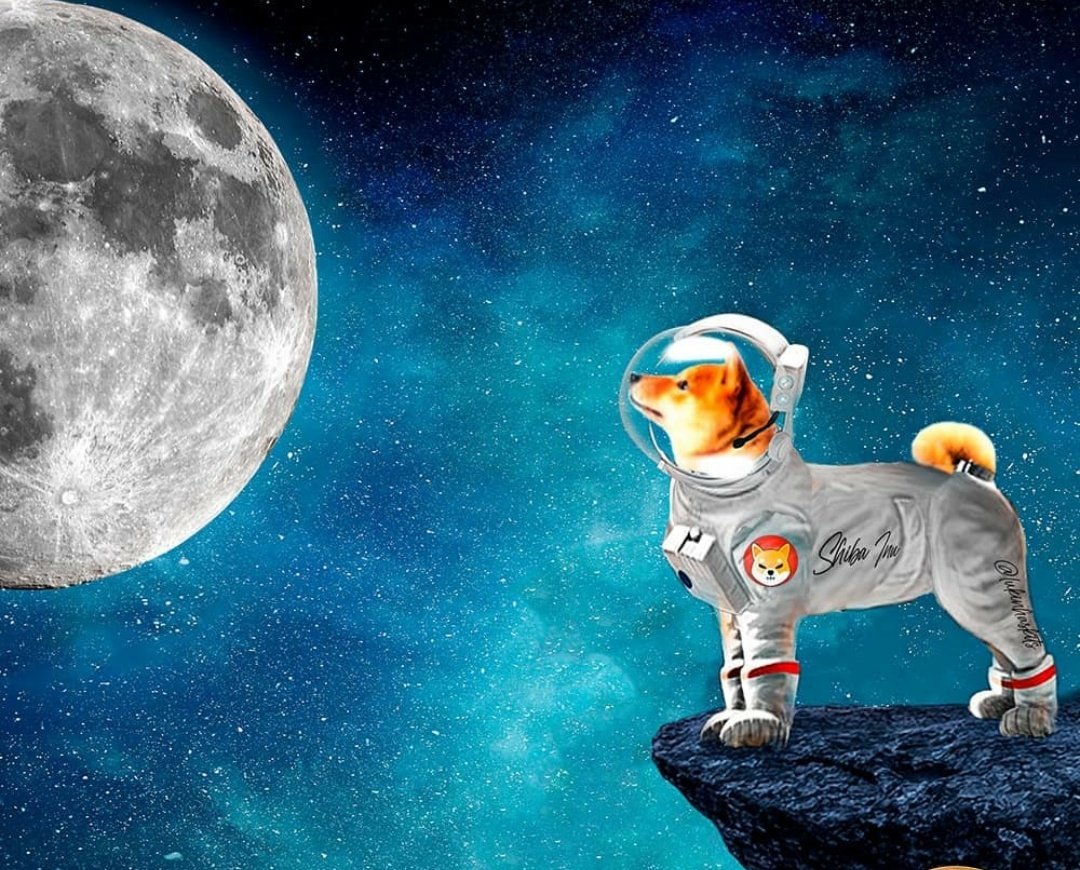 code_denzo's tweet photo. @Shibtoken @certik_io $SHIB not just Price fluctuation.
It has own real value.

Plz go through $SHIB WOOF PAPER.
FOR better understanding.

#SHIBARMY https://t.co/iVwGO0d0HG https://t.co/pKUfSp2vlj