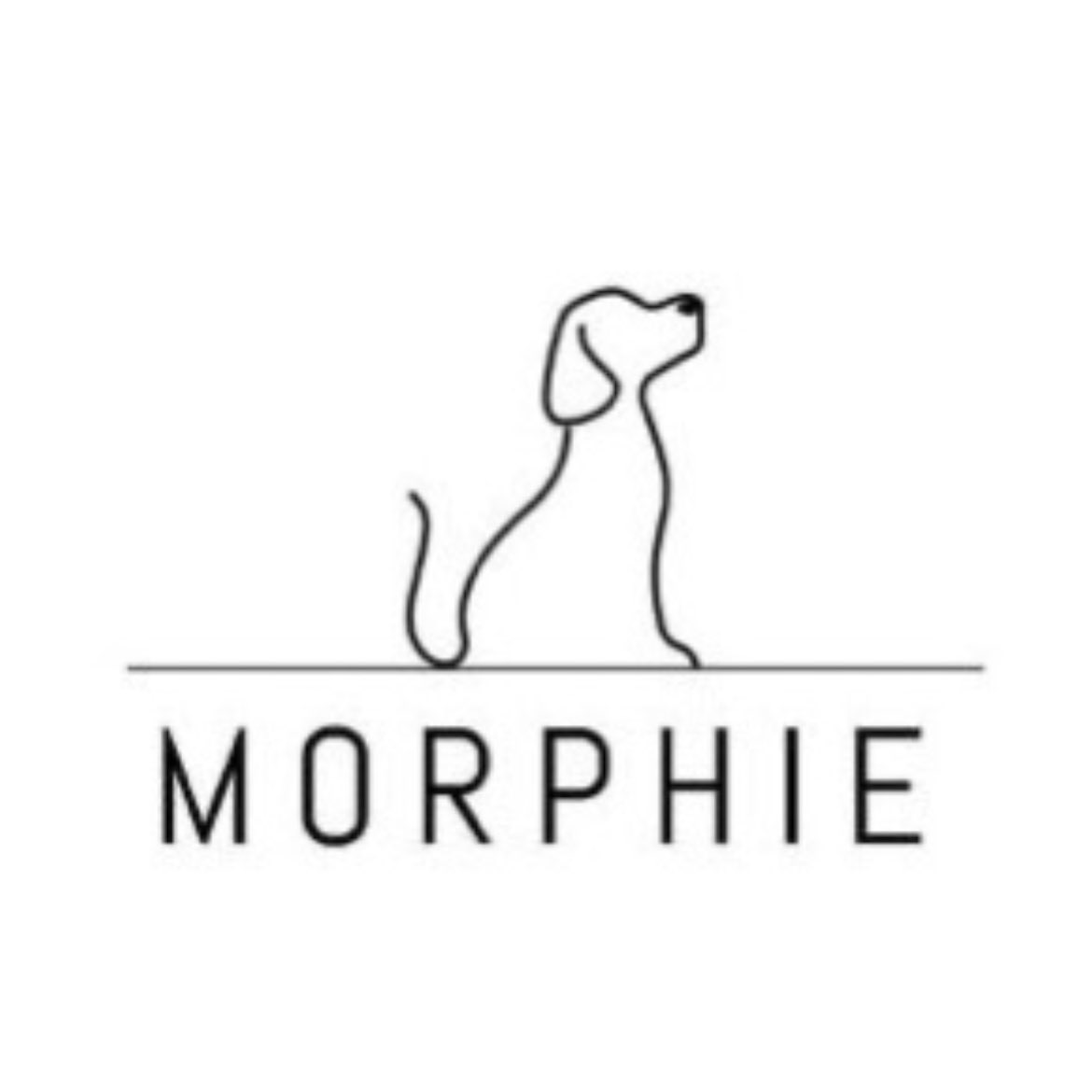 0xFehu's tweet photo. Entry point at $MRFI @morphie_network don’t miss this leg up 🚀💥🔥 previous one did 5X
#BSC #AVAX #oracle #mrfi #morphie #btc #eth #bnb #PancakeSwap #altcoin #defi #ALTSEASON #Binance https://t.co/FP6rbiVlH3