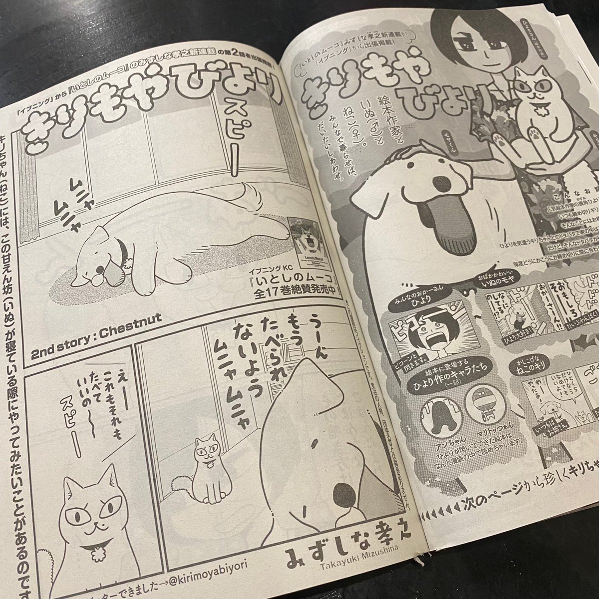 本日発売講談社モーニングに「きりもやびより」出張掲載して頂いてます。30年近く前ギャンブルレーサー読みたさにモーニング読み始めてから、漫画家生活で初めて本誌に載って万感の思いです。かわいい紹介ページも作って頂きました。どうぞ名前だけでも覚えて帰って下さい! https://t.co/mDETxwtVX4 