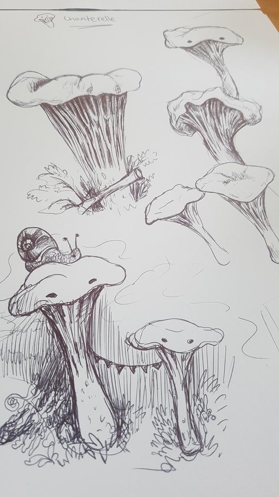 A quick sketch to get some ideas on paper. #sketch #pencilsketch #mushrooms #fungi #chanterellemushrooms #illustrator #nftartist #nfts #sketching #snail  #roughsketch #drawing #sketchingideas