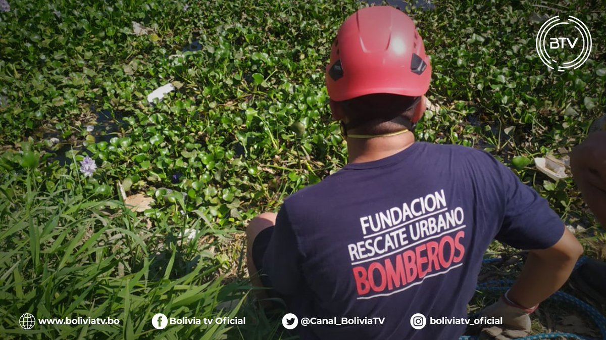 Canal_BoliviaTV's tweet photo. #BTVInforma
La #FELCC de #SantaCruz, investiga la muerte de un marchista indígena originario de #Guarayos, que fue encontrado en la laguna #Guapilo. Según los primeros informes la data de la muerte es desde hace 3 días.
Inf. Enrique Serrudo – BTV https://t.co/vY3E3lir35