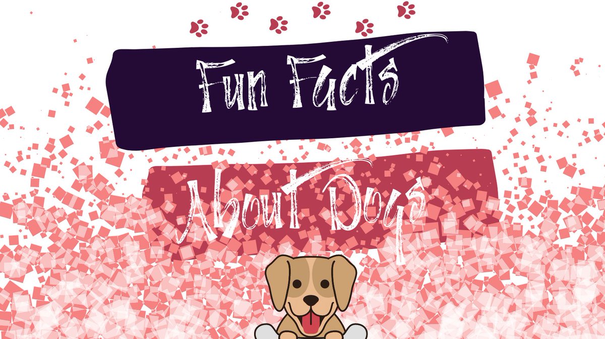 Basic_Dog_Mom's tweet photo. Check out 15 fun facts about dogs here!

https://t.co/AHLb8plXPI

#basicdogmom #dogmom #dogfacts #cooldogfacts #doglovers #dogtrivia #dogs https://t.co/zTFTUthqvu