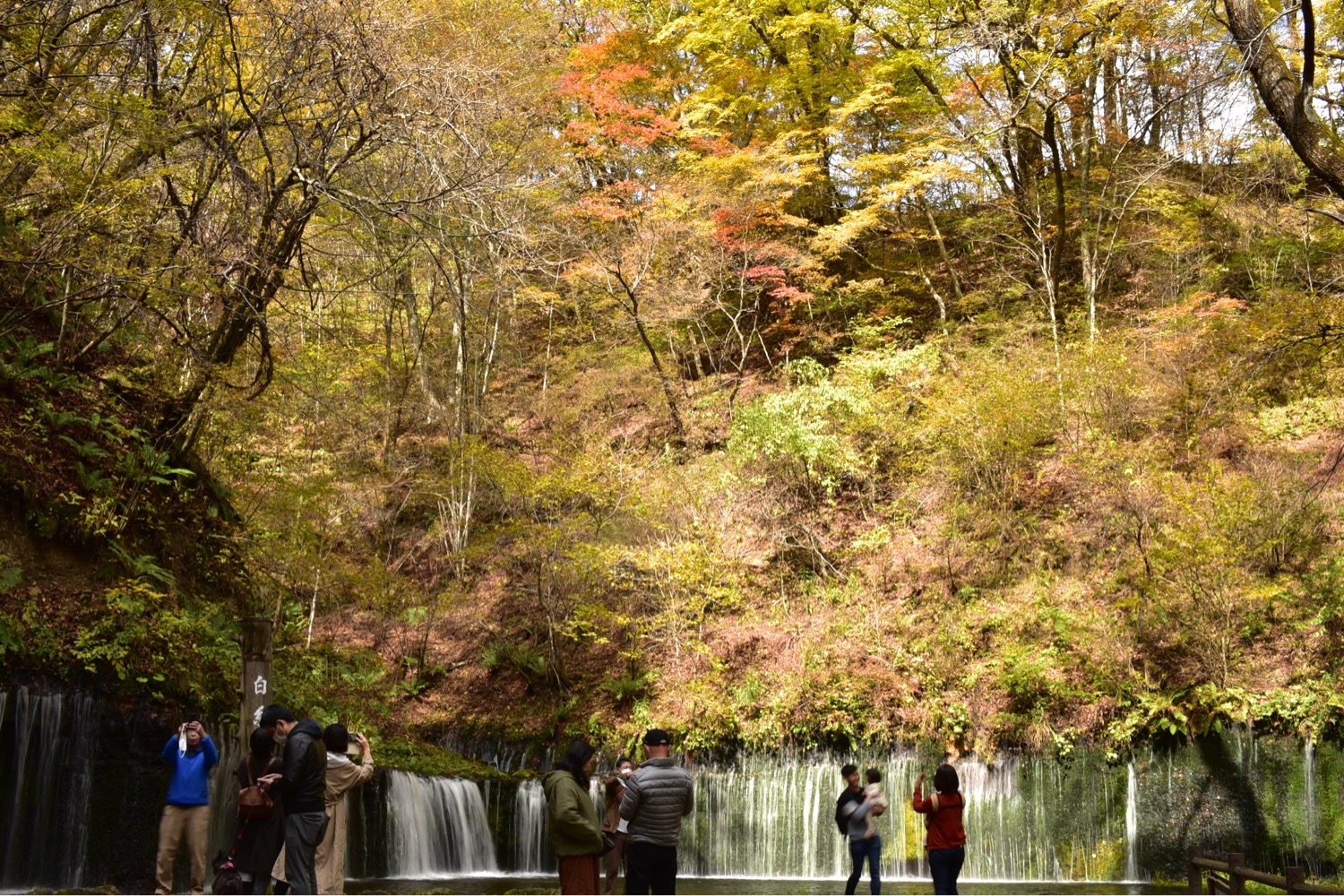 白糸ハイランドウェイ 軽井沢 Karuizawa Shw Twitter