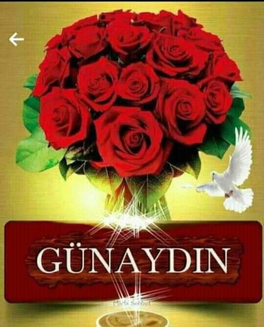 Single34emre's tweet photo. @toxicayhorny https://t.co/zvIXoKcRUr