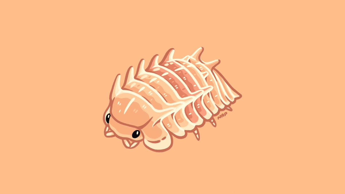 fossilforager's tweet image. a little spiky dude