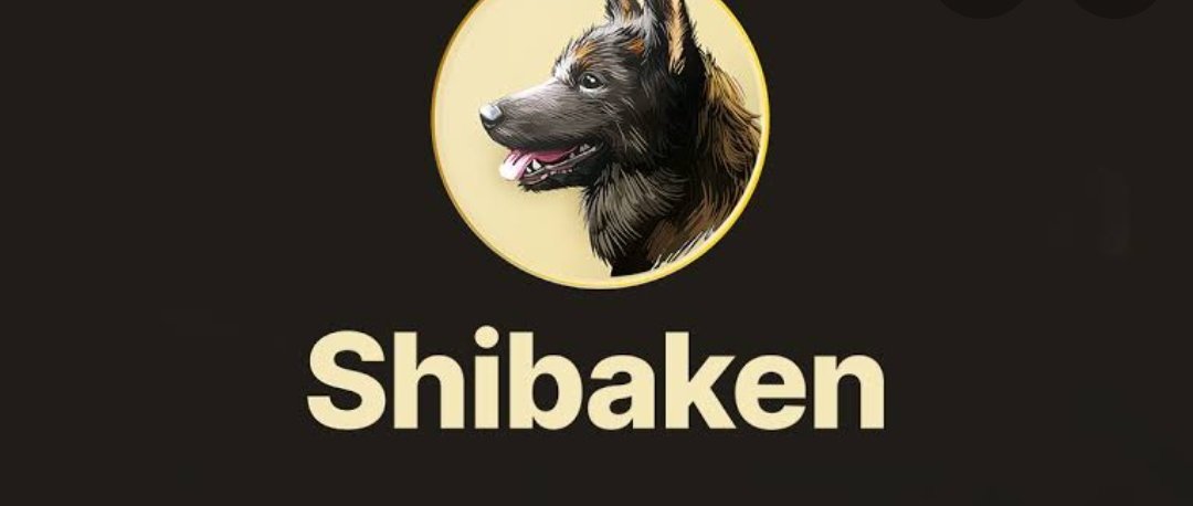 Shibaken Dogezilla Saitama Rm Borres Twitter