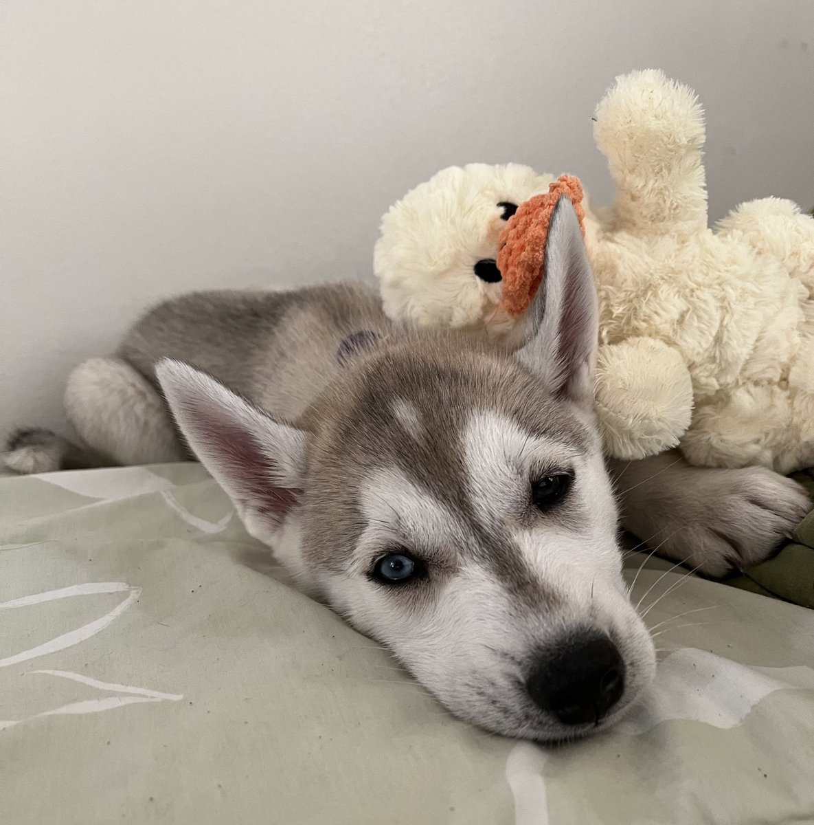 bingobinx's tweet image. binx thread