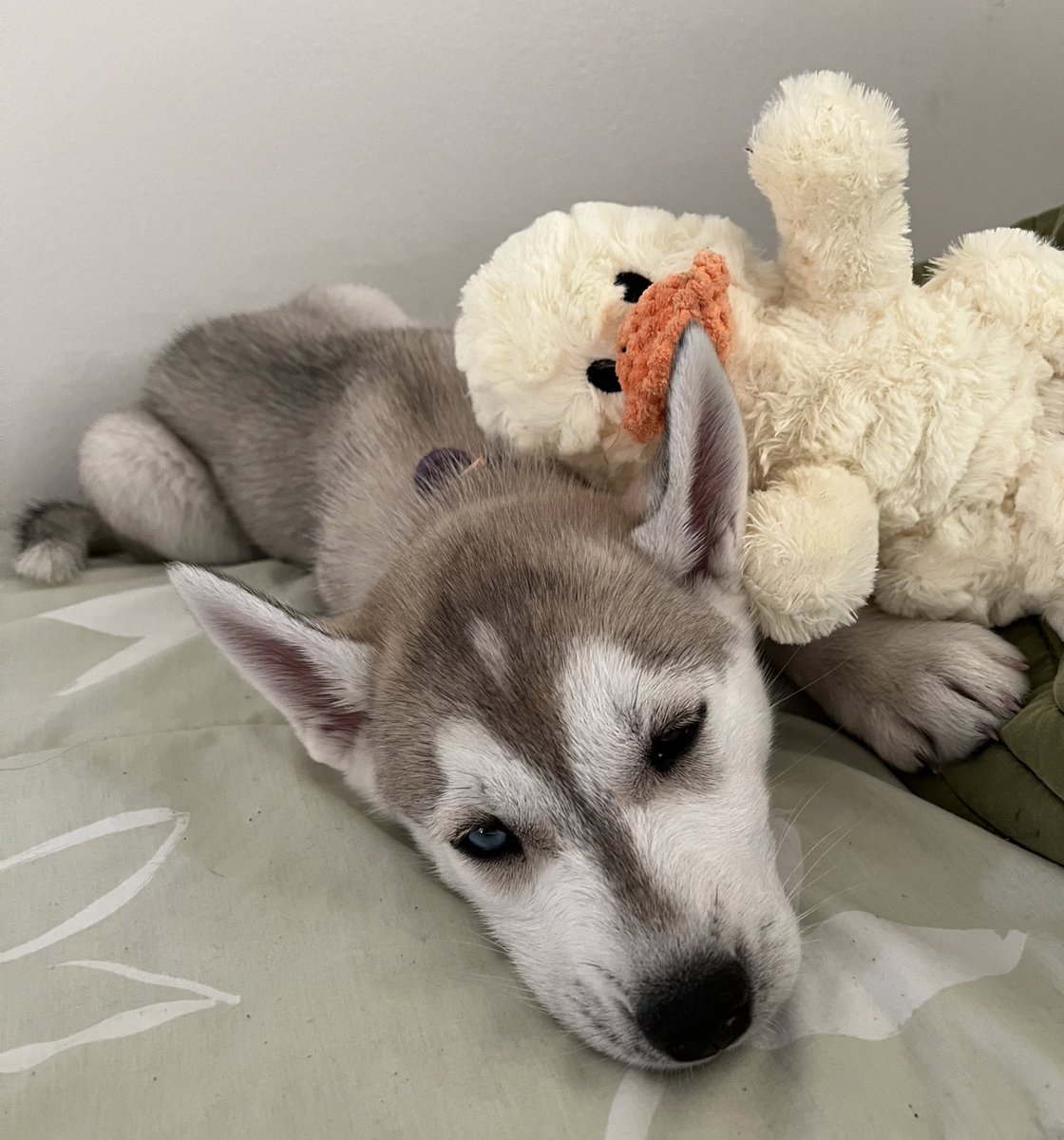 bingobinx's tweet image. binx thread