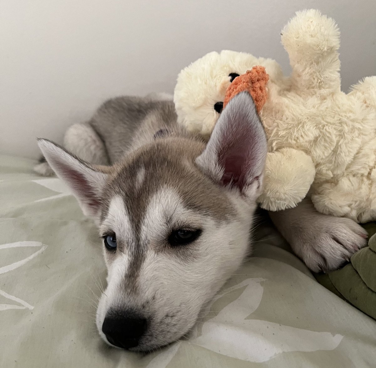 bingobinx's tweet image. binx thread