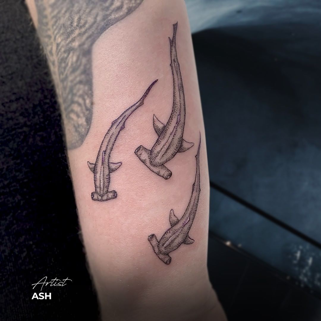 Celebrity Ink™ Tattoo Studios on X: Tattoo Artist: Ash IG:  celebrityinktattoochermside #Tattoo #TattooIdea #TattooRecommendation  #TattooDesign #TattooDaily #TattooInspiration #Sharktattoo #TattooAustralia  #TattooAU  / X