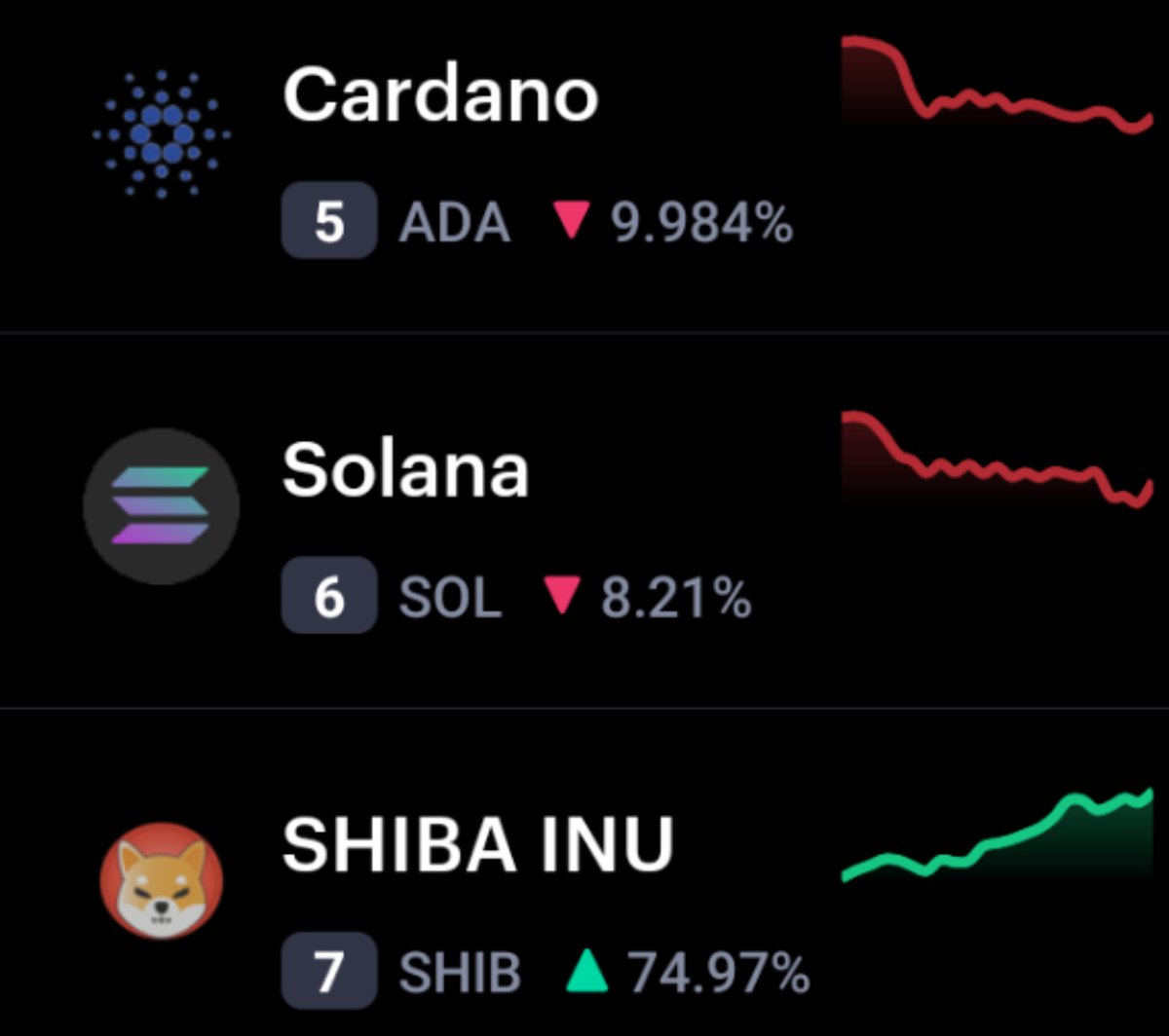 ShibInfo's tweet photo. HELLO MATE! 🚀✨ $SHIB https://t.co/ZUs7VYaUmZ