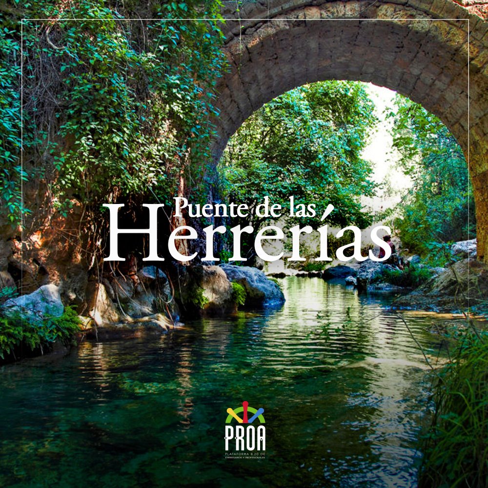 proajaen's tweet photo. Enclaves emblemáticos de la provincia de Jaén.
¿Cuál es tu preferido?
1. Cascada de la Cimbarra.
2. Vía Verde del Aceite.
3. Puente de las Herrerías.
4. Embalse del Jándula.

#Jaén #Cimbarra #VíaVerdeDelAceite #EmbalsedelJándula #proajaen https://t.co/uwPU6toH0E