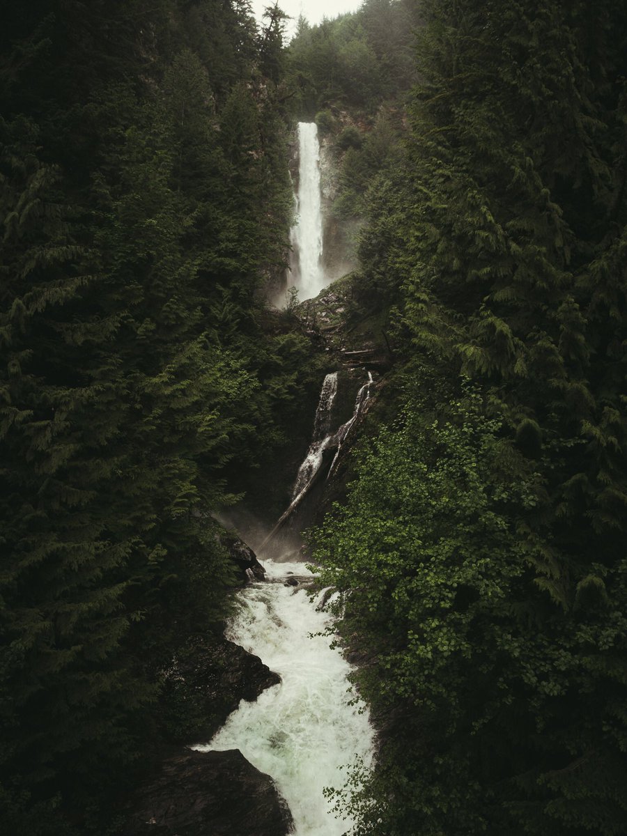 TyStephensPhoto's tweet photo. Land of giants. https://t.co/GycNqqyVff