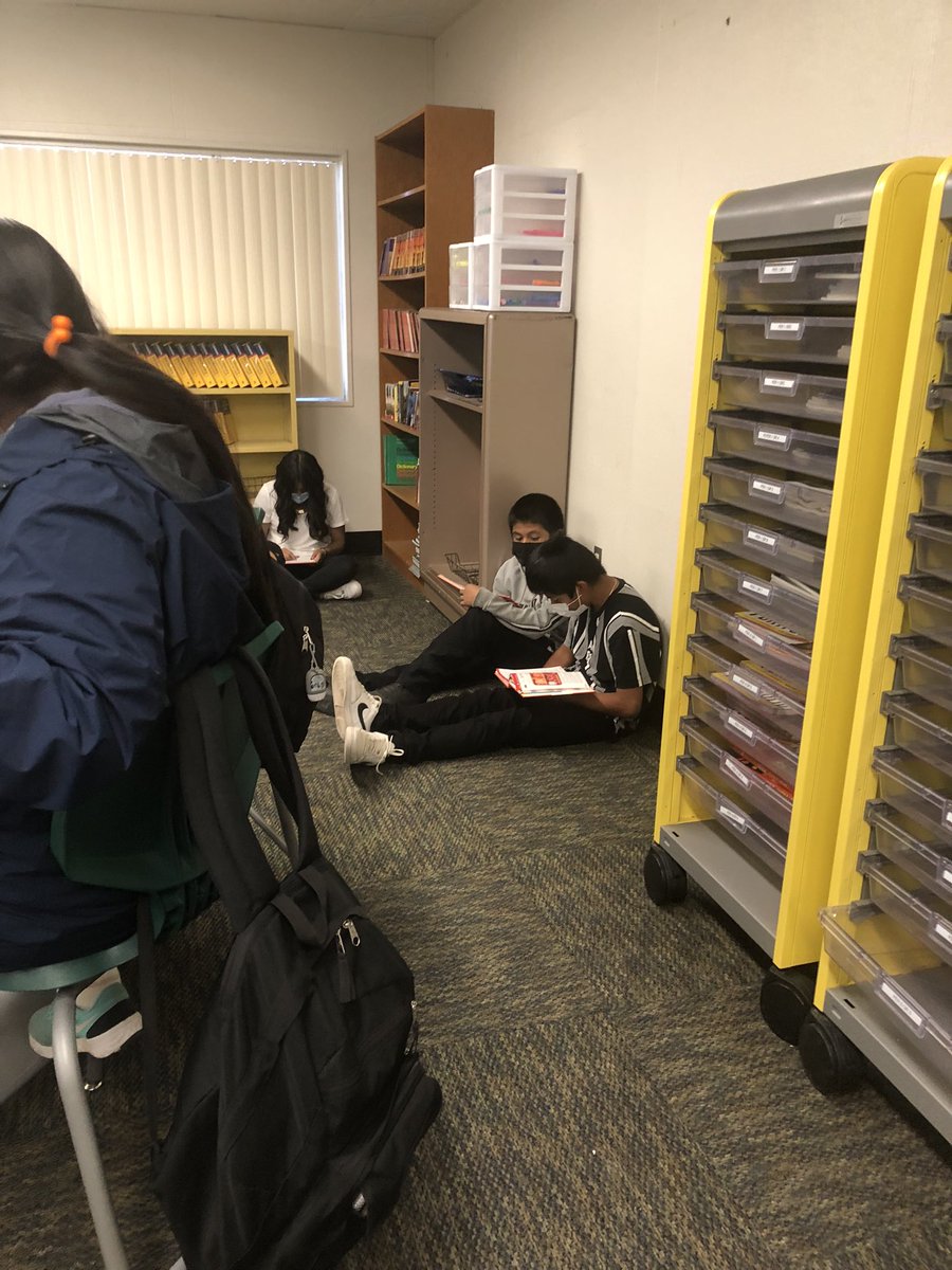 Diane Castillo tweet media