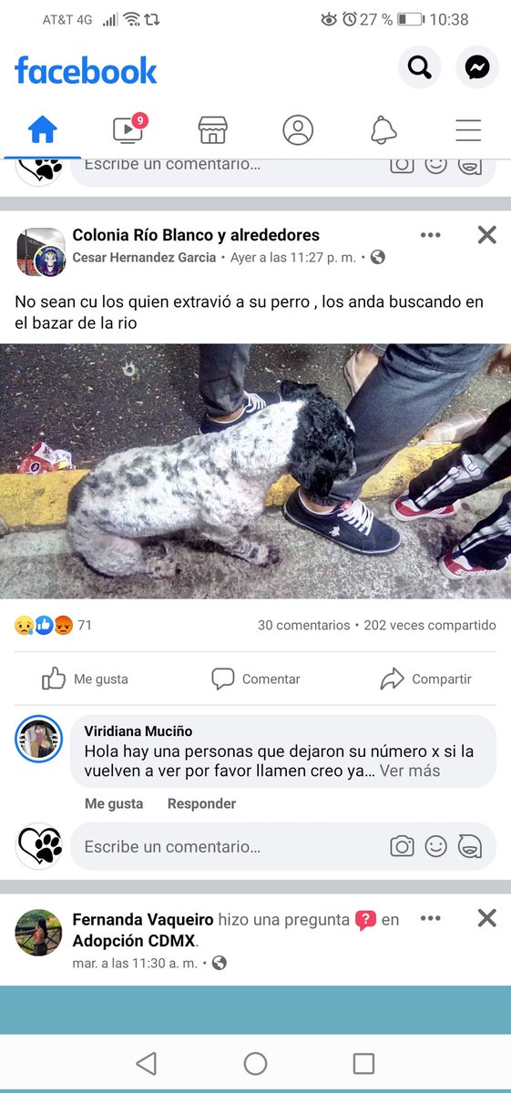 D I A N A 🐕 🐾 ❤️ tweet media