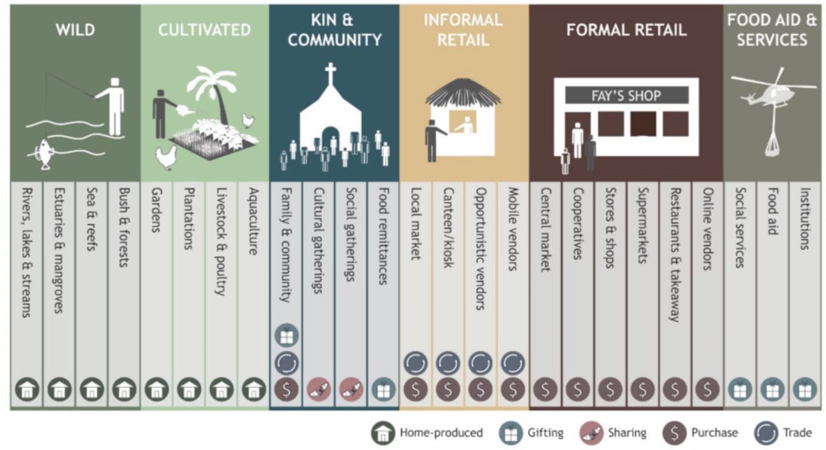 Excited to share our latest research on Pacific Food Systems has been published! Cultivated, wild and kin and community are crucial but overlooked food environments in the Pacific @ACIARAustralia mdpi.com/2304-8158/10/1…