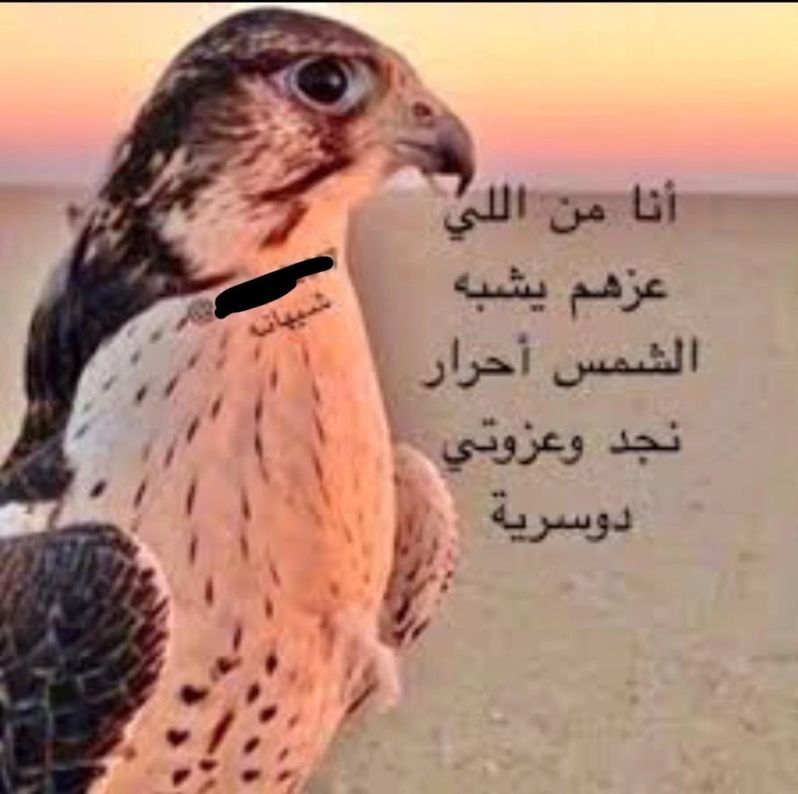 جوري الحياه tweet media