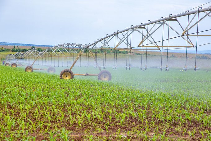 jcniyomugabo's tweet photo. Them: How do we alleviate #poverty in Africa?

Me: Invest in #Agriculture 

Them: How do we solve #unemployment among African #youth?

Me: Invest in #Agriculture 

Them: How do we shift to #Industrilization in Africa?

Me: Invest in #Agriculture 

Let's invest  in agriculture https://t.co/W085dnAbb5