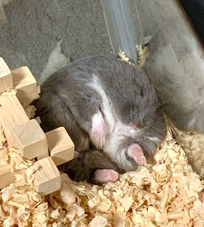 毎日こうです 