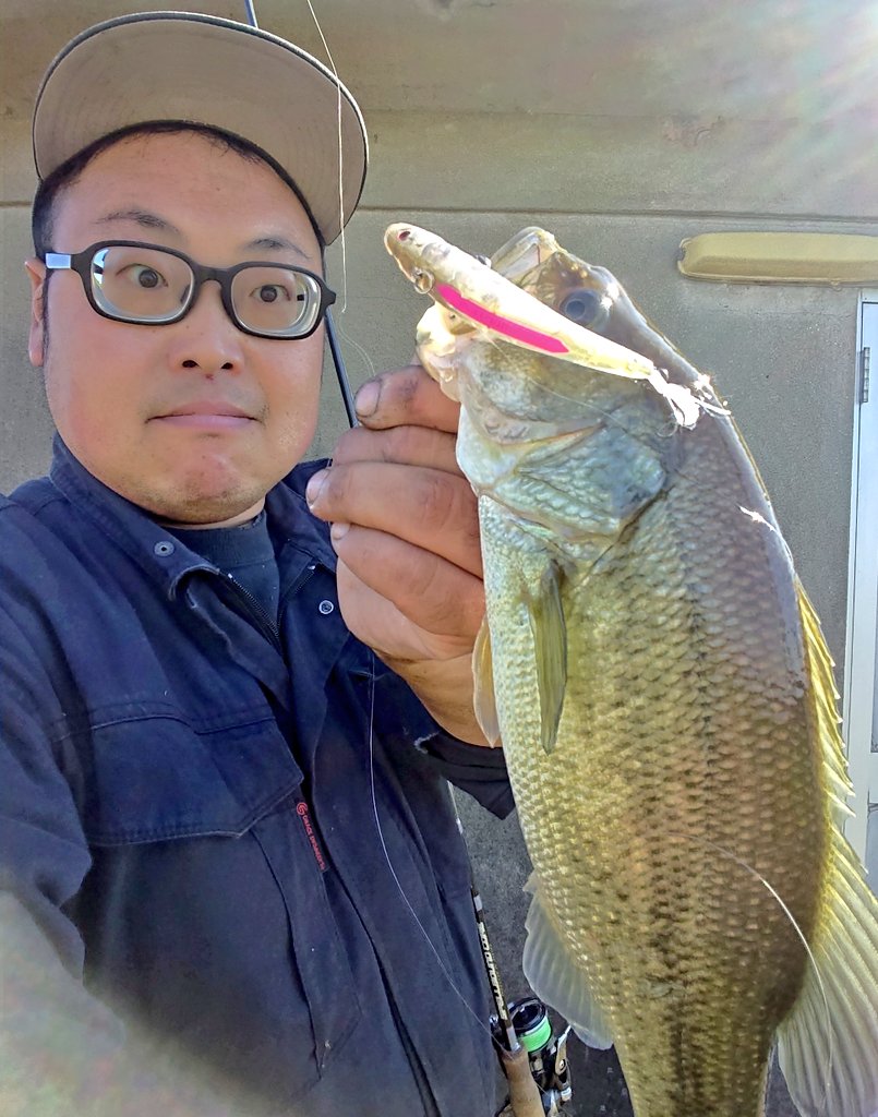 YuYuYujiFTK56's tweet photo. 今日は天気が良いからPULL70Fで水面爆発させた🐟💥💥💥
水面への出方がマジでえぐいwww
フローティングシャッドパターンも試して20分で2本釣れたから満足👍👍👍
鼻をかみすぎて鼻の下が赤く荒れてるのは愛嬌で🤧🤧🤧💦
#昼休みフィッシュ
#ism
#PULL70F
#OSP
#ハイカットDR https://t.co/GLHWqDYsAT