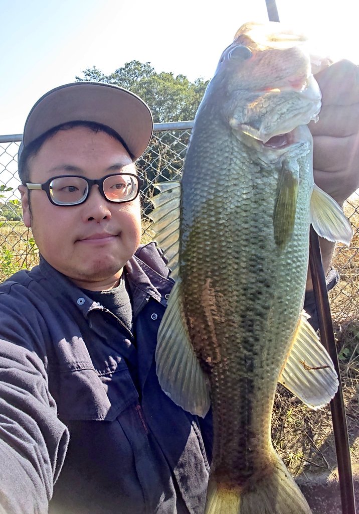 YuYuYujiFTK56's tweet photo. 今日は天気が良いからPULL70Fで水面爆発させた🐟💥💥💥
水面への出方がマジでえぐいwww
フローティングシャッドパターンも試して20分で2本釣れたから満足👍👍👍
鼻をかみすぎて鼻の下が赤く荒れてるのは愛嬌で🤧🤧🤧💦
#昼休みフィッシュ
#ism
#PULL70F
#OSP
#ハイカットDR https://t.co/GLHWqDYsAT