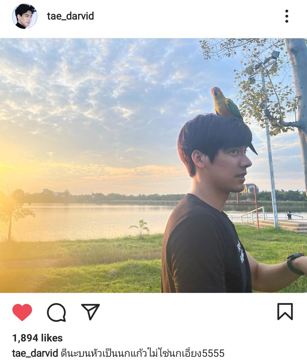 211028 | Tae Darvid's Instagram Update

"ดีนะบนหัวเป็นนกแก้วไม่ใช่นกเอี้ยง5555"

#TaeDarvid
instagram.com/p/CVjs-PQv-SS/…