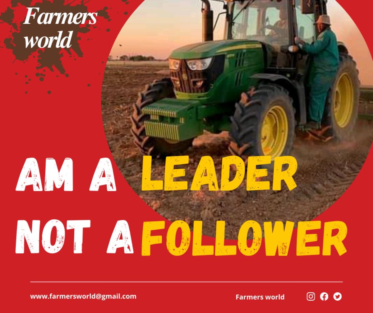 NatureDevelops's tweet photo. Other things can wait, farming can not
#farmingLeads https://t.co/rXpicRZHJn