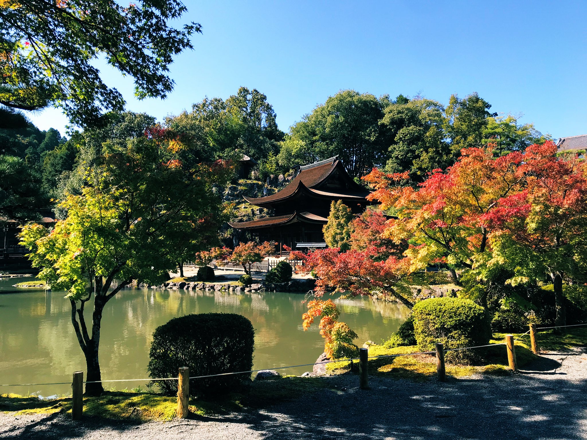 虎渓山永保寺 公式 Kokeizaneihouji Twitter
