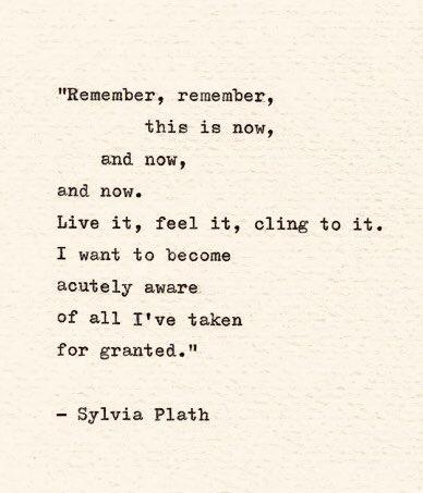 laura_rambla's tweet photo. Sylvia Plath https://t.co/woZQ3wO0sR