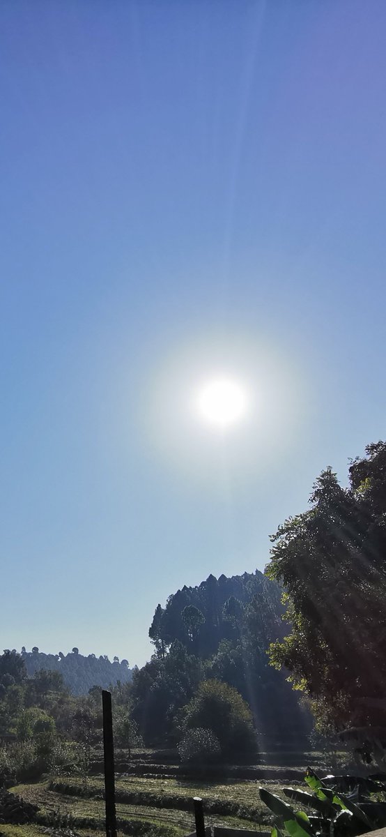 syedali_haider1's tweet photo. Morning ❤️😵😍🙈
#huaweip30 #huawei #Huawei #lovehuawei #hellohuawei https://t.co/LFlbei09R0