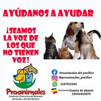 FProanimales's tweet photo. https://t.co/SuSJQTMWE9