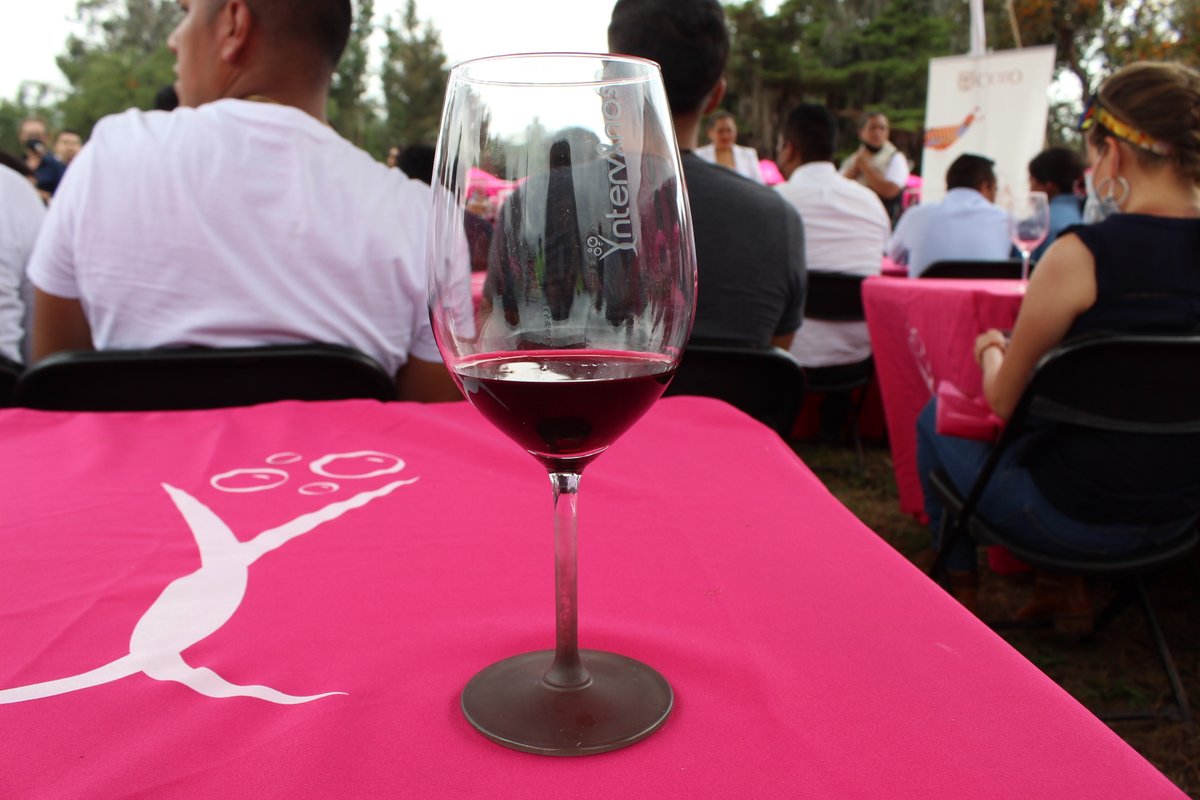 MaletaViajes's tweet photo. Festival Intervinos vino con causa https://t.co/Adn8bidEmT
#MaletadeViajes #Turismo
#aventuras #viajeros #viajes #Travel #Intervinos https://t.co/ncunGqQBTD