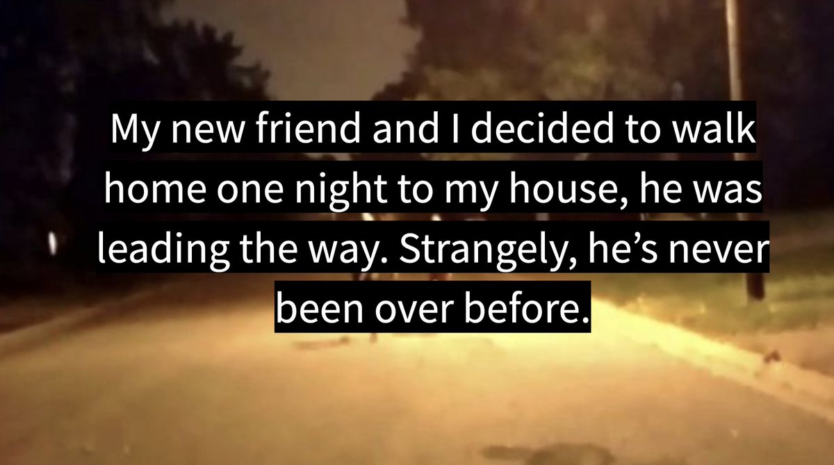 DJohnsonMRHS's tweet photo. Pathways Night School kids are amazing.😎We had a blast creating Two Sentence Horror Stories. 👻👻ELA 3/4 students are rocking' the house! #spooky #2sentences @DVUSD_Pathways @DVUSD @TheMRHS https://t.co/x7sXNxV9LJ