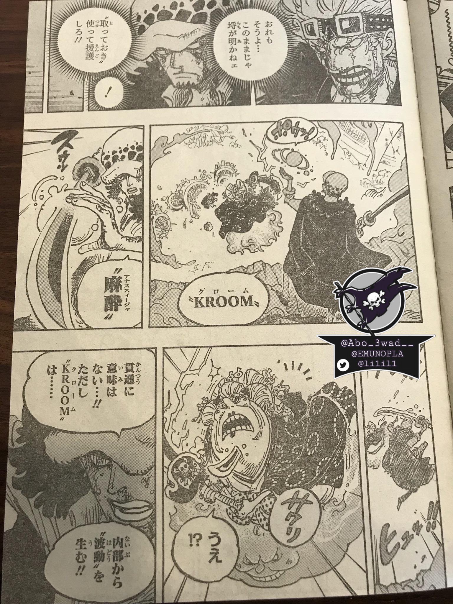 1030 spoilers] Understanding Awakening, and how the Immortality Operation  is possible : r/OnePiece