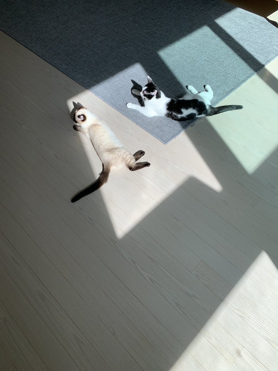 따뜻한 바닥을 찾아서