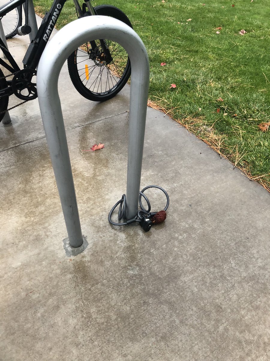 bex_lynne's tweet photo. Someone locked up a pinecone on campus https://t.co/tVxNwvHuWL