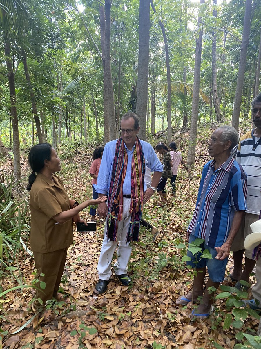 Hugely impressive work by Mana Leo in #Baguia. Successful carbon-farming programme transforming  the community + combatting #climatechange. #reforestation <a href="/EU_TimorLeste/">European Union Timor-Leste</a> is proud to support replication around the country through #RaiMatak. <a href="/WithOneSeed/">WithOneSeed</a> <a href="/Oxfam/">Oxfam International</a>