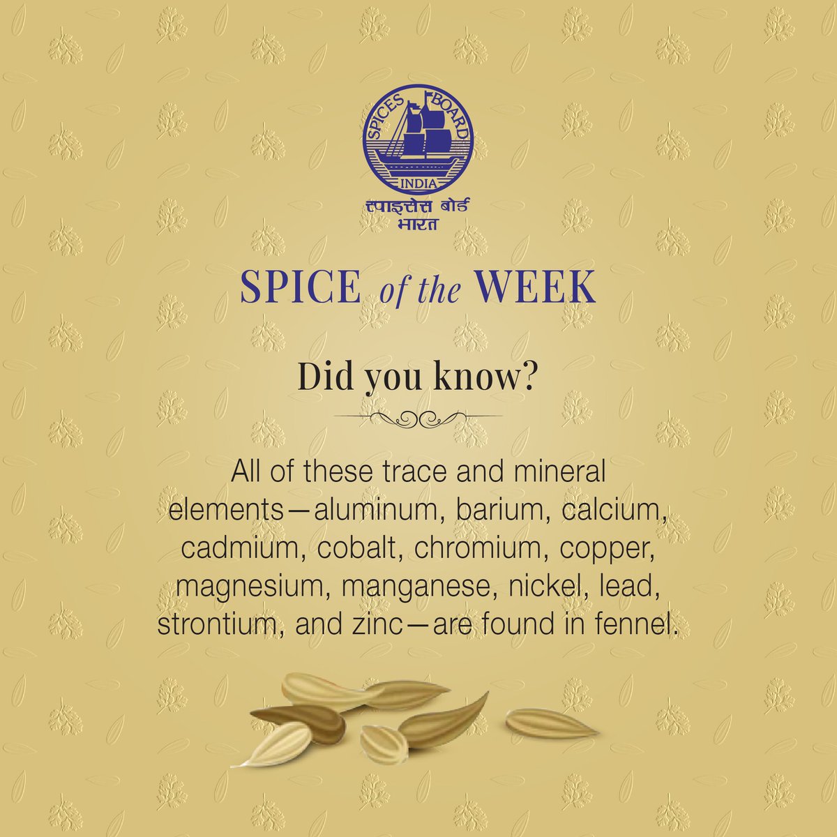 Spices_Board's tweet photo. Geographic and seasonal variations affect the identification of the chemical constituents responsible for the myriad health benefits of fennel.
@DoC_GoI
#spiceoftheweek #SpicesBoard #spicesboardindia #spiceindustry #spiceexport #export #spicesofindia #spicespark #spicesandherbs https://t.co/IHbUwHzQKs