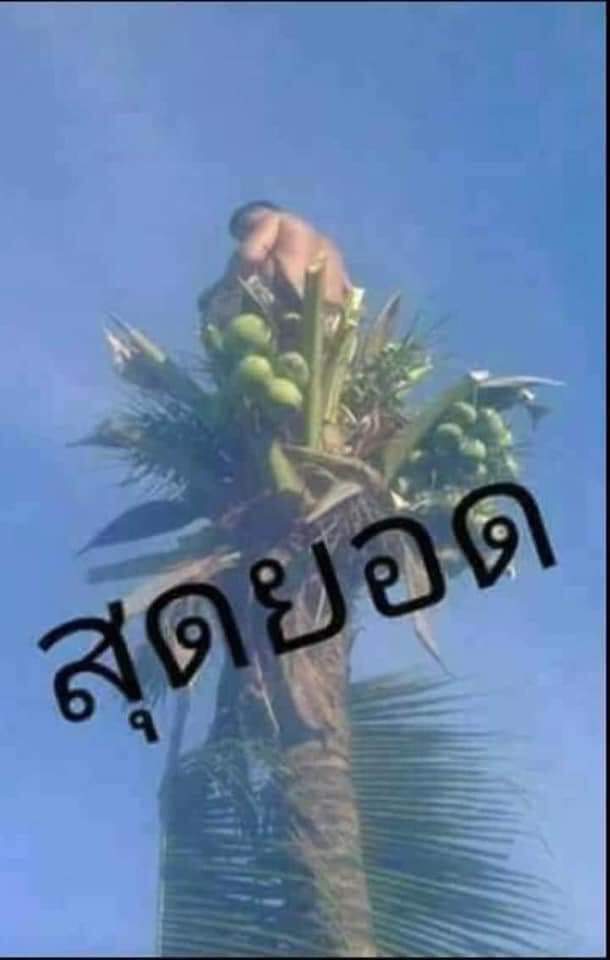 Max23089082's tweet photo. ມີບ່າວ17ຮັບນັດເດີ https://t.co/VtDvoJMlDo