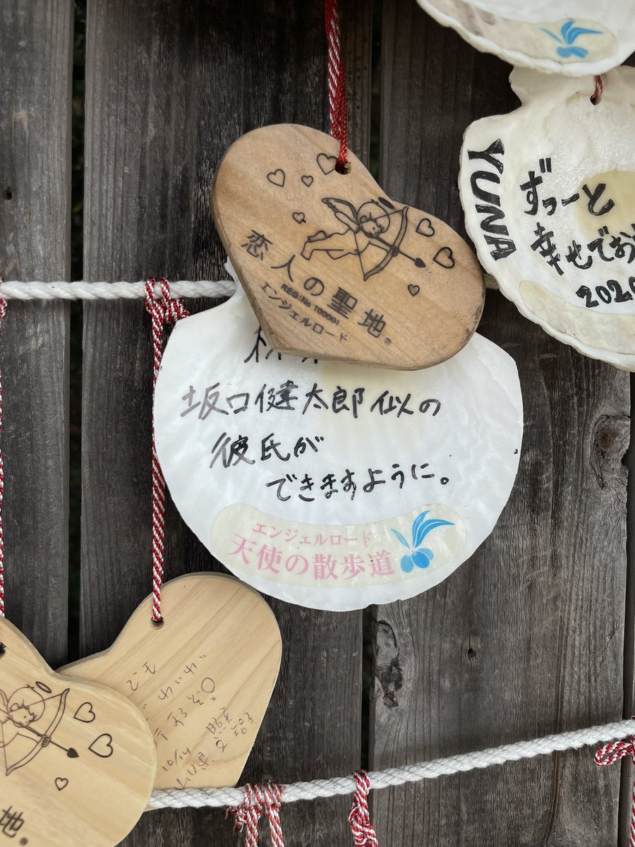 tarofuka's tweet photo. 願いごとはそれぞれ https://t.co/82cnweOA60