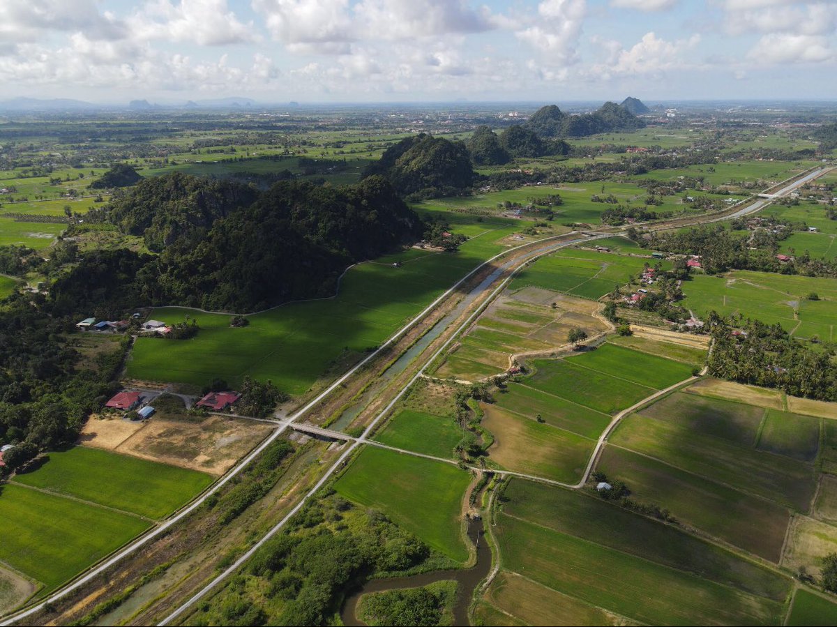 kpkmmalaysia's tweet photo. bagi meningkatkan tahap kadar sara diri beras negara sekaligus membantu menambah hasil dan pendapatan pesawah.

🌾Sasaran utama SmartSBB untuk meningkatkan hasil padi sebanyak 30% pada kadar pemutuan padi kurang daripada 20% dengan pembangunan kawasan padi seluas 50 hektar. https://t.co/0JOmFdLt0l