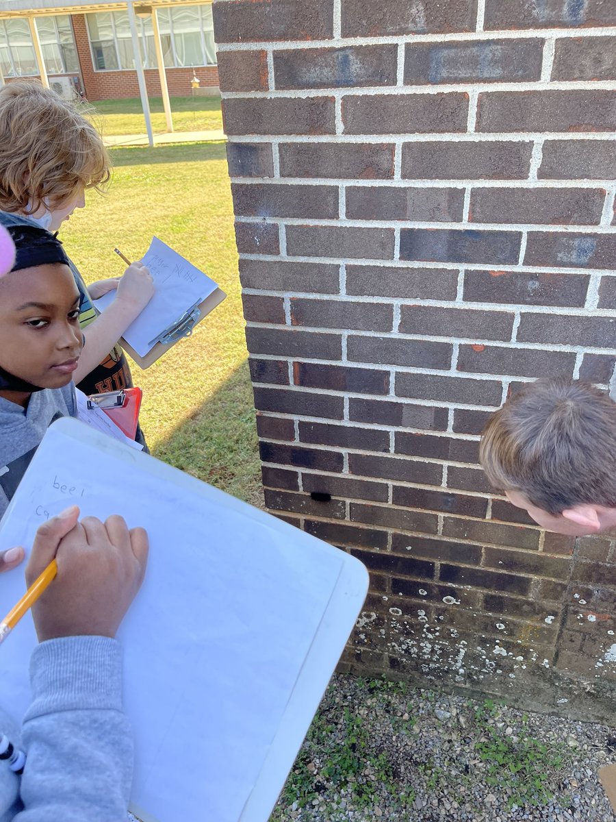 Third Grade Ss enjoyed going on a learning walk in search of creeping and crawling insects. #CESTigerCubs