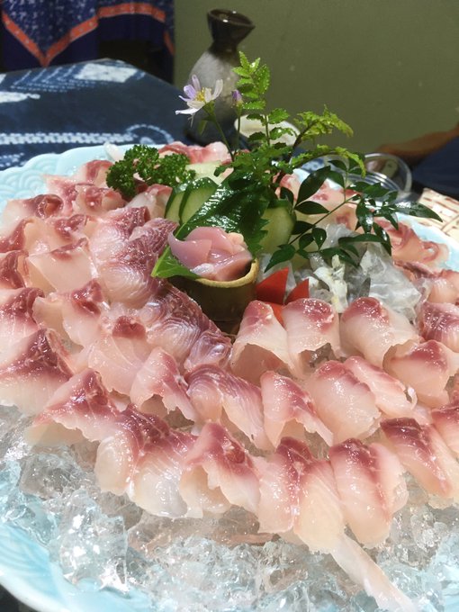 鯉のあらいのtwitterイラスト検索結果