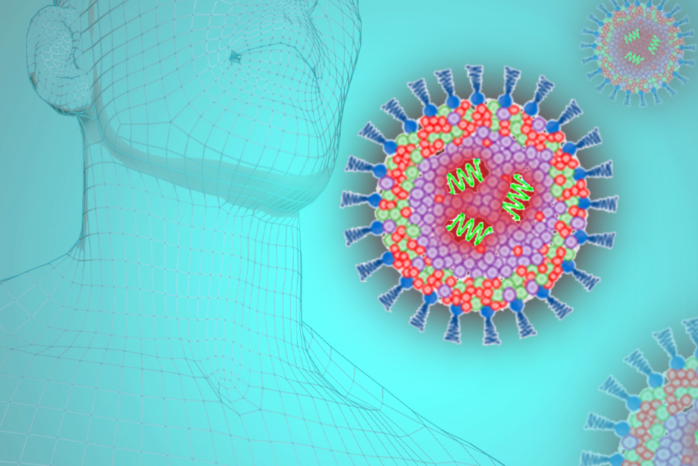 mlz_garching's tweet image. mRNA is on the world's mind💉. And that's why researchers from MLZ, @AstraZeneca  and @MalmoUniversity collaborated to improve the understanding of mRNA therapeutics by asking: What exactly happens to mRNA once it enters the blood?
t1p.de/mRNA