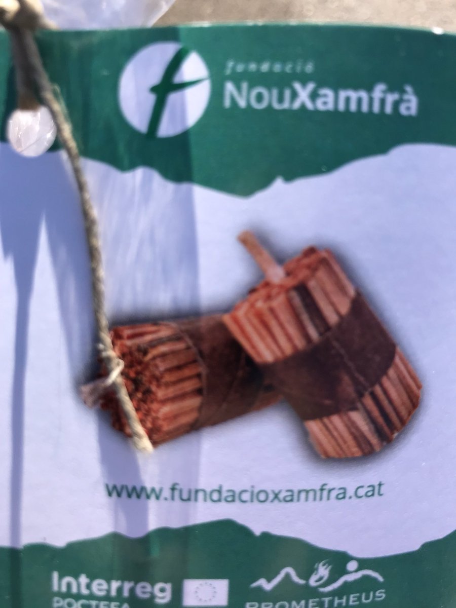 🎗 Associació cultural de fallaires de Sort tweet media